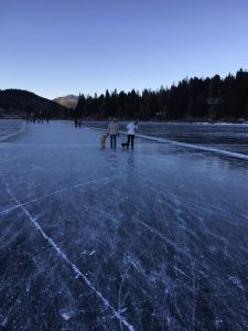 doggydate_kaernten05